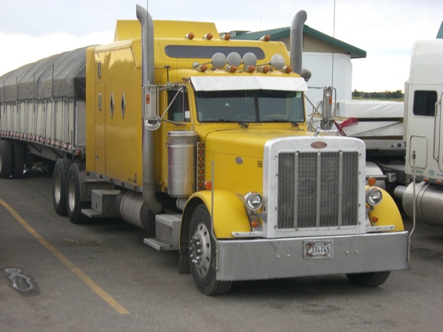 CIMG7421 Trucks