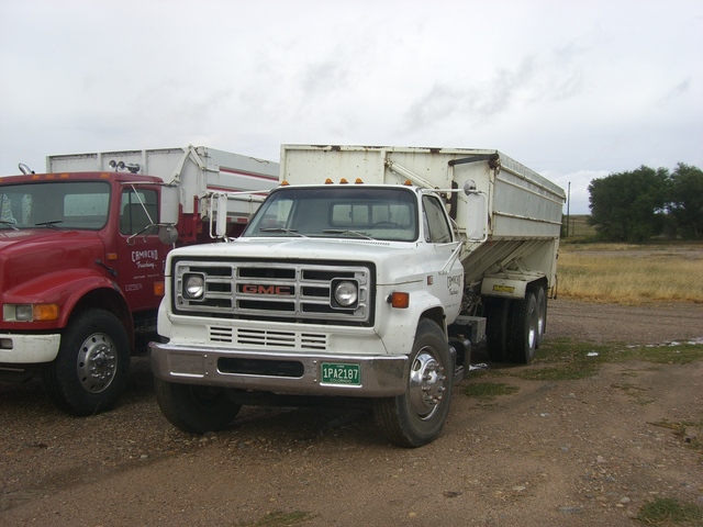 CIMG7368 Trucks