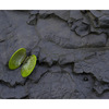 green shell - Nature Images