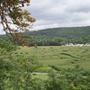 Luxemburg 009 - Ardennen