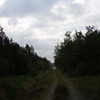 Luxemburg 026 - Ardennen