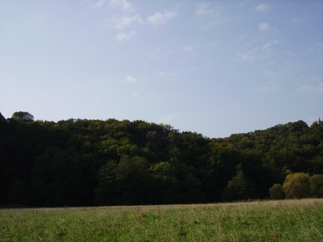 Luxemburg 052 Ardennen