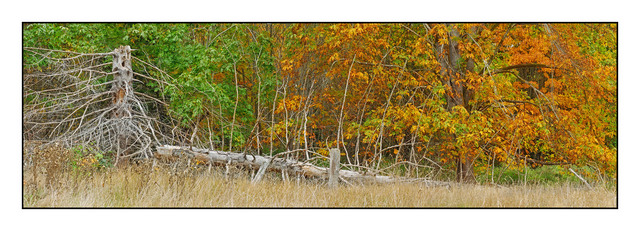 HawkGlenPark Pano Panorama Images