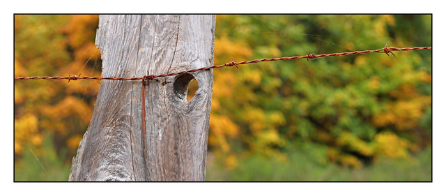 Old Fence Pano Nature Images