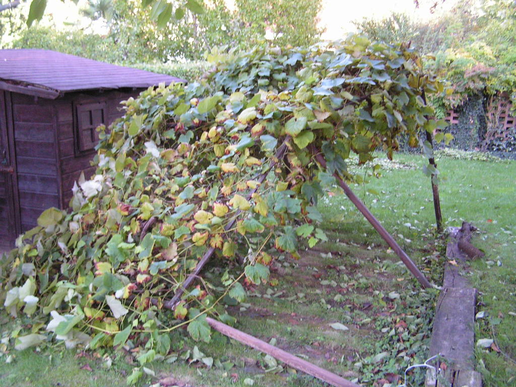 stazione meteo danni 046 - 