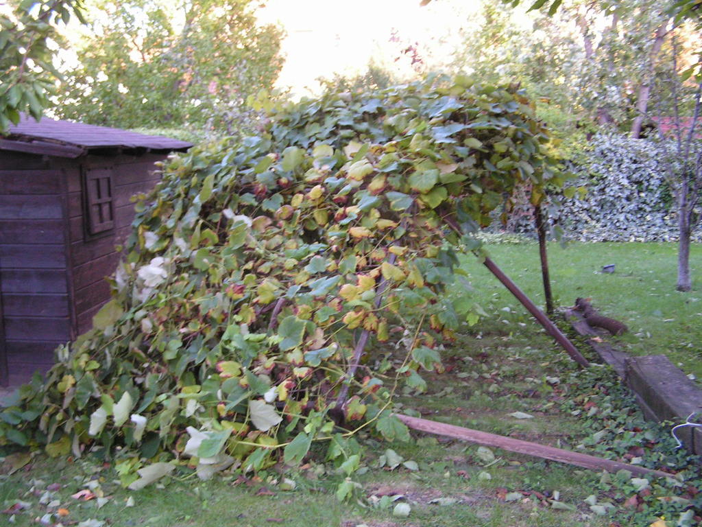 stazione meteo danni 047 - 