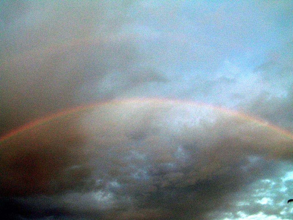 stazione meteo danni 029 - 