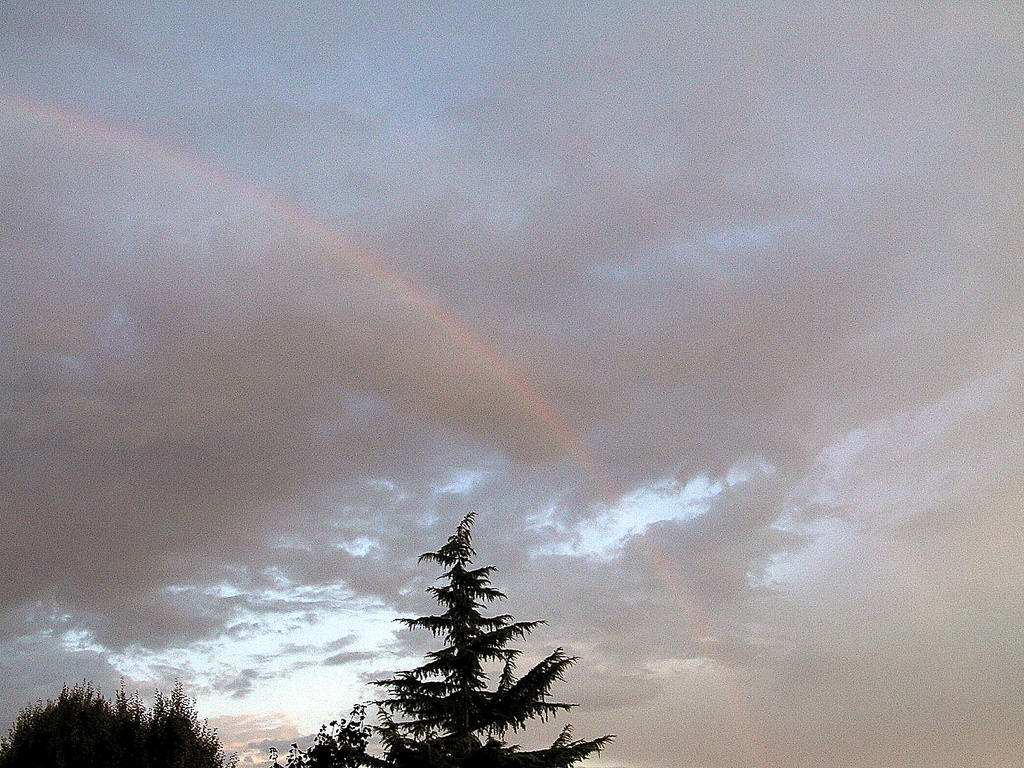 stazione meteo danni 030 - 