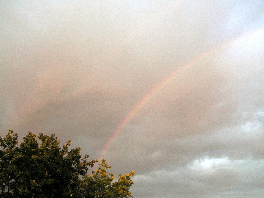 stazione meteo danni 031 - 