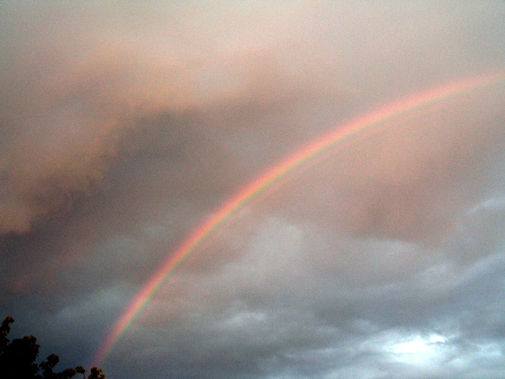 stazione meteo danni 032 - 