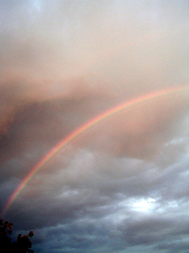 stazione meteo danni 033 - 