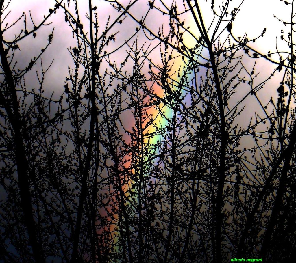 arcobaleno - 