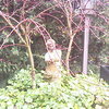 Tuin 17-10-07 02 - In de tuin 2007
