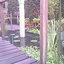 Tuin 17-10-07 04 - In de tuin 2007