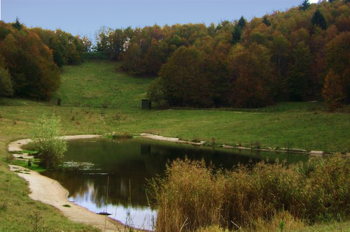 16-10-09-015 copia - 