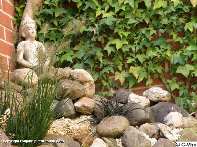 Tuin Boeddha - Conan 4 In de tuin 2010