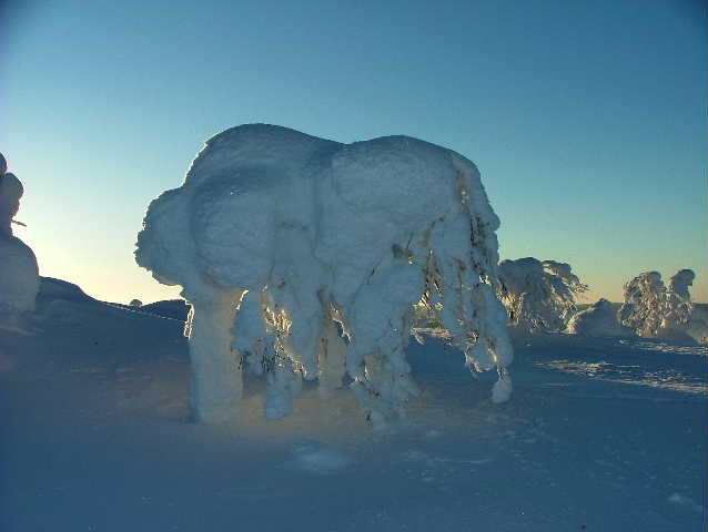 2005 0221Image0007B Winter in Salla