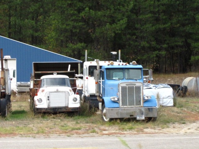 IMG 3387 Trucks