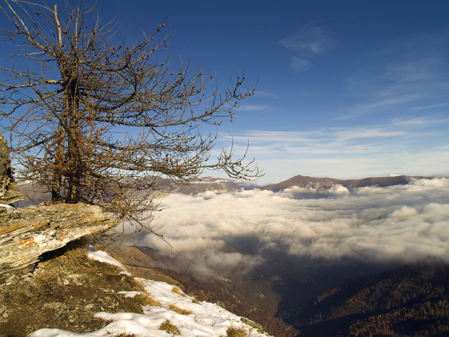 Colle margherita1  - 