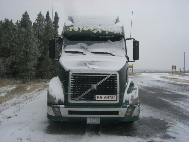 CIMG8330 Trucks