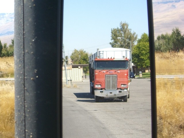 CIMG8322 Trucks
