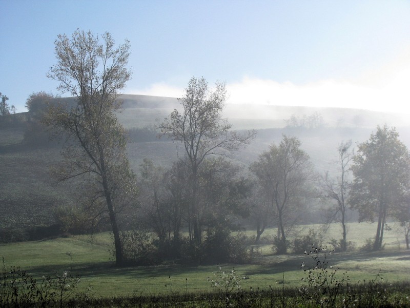 IMG 3708[1] (800 x 600) - 