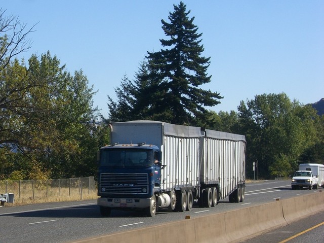 CIMG8247 Trucks