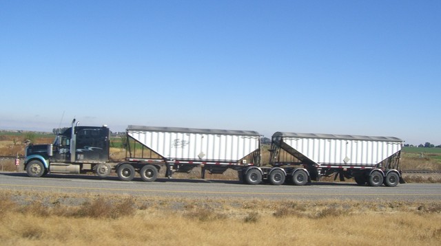 CIMG8307 Trucks