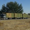 CIMG8313 - Trucks