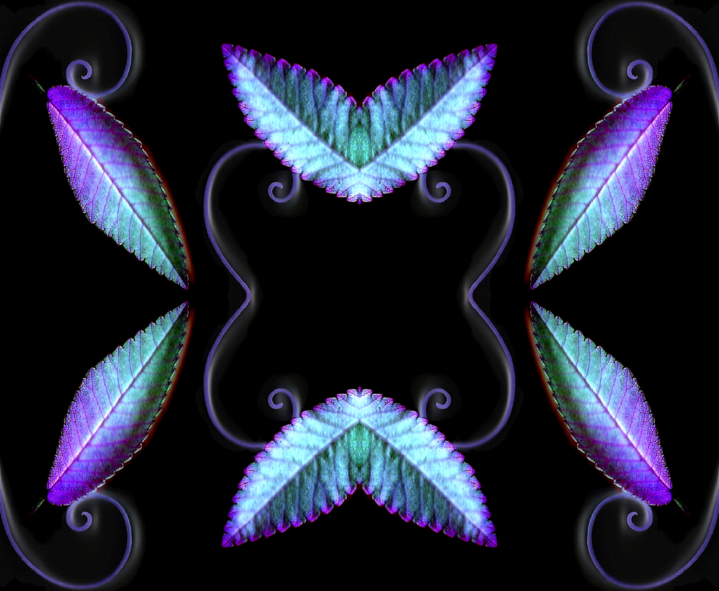 Spiral Pattern Picture Box