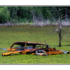 Swamp Car - Film photography