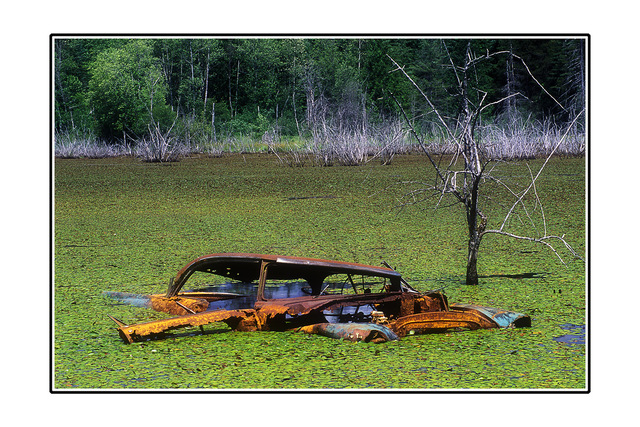Swamp Car Film photography