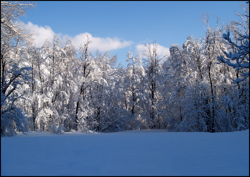 Festiona2 27-12-08 - 