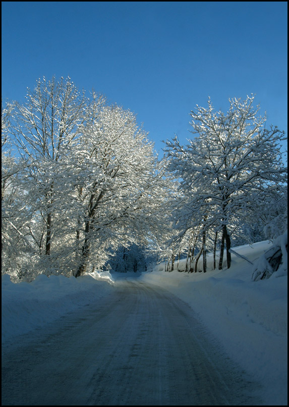 Festiona3 27-12-08 - 