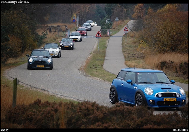 DSC 6663-border Mini's in the bush 2009