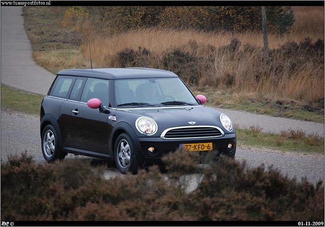 DSC 6666-border Mini's in the bush 2009