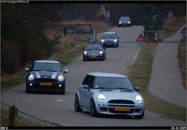 DSC 6675-border Mini's in the bush 2009