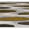 Spotted lake detail - 35mm photos
