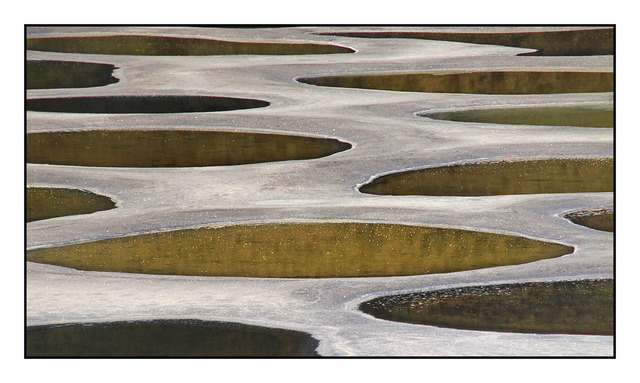 Spotted lake detail 35mm photos