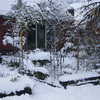 Wintertuin 20-12-09 15 - In de tuin 2010