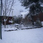 Wintertuin 20-12-09 14 - In de tuin 2010