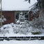 Wintertuin 20-12-09 11 - In de tuin 2010