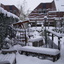 Wintertuin 20-12-09 01 - In de tuin 2010