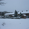  René Vriezen 2009-12-20 #0020 - Presikhaaf Sneeuw rond om h...