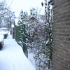  RenÃ© Vriezen 2009-12-20 #... - Presikhaaf Sneeuw rond om h...