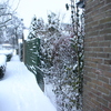  René Vriezen 2009-12-20 #0026 - Presikhaaf Sneeuw rond om h...