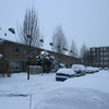  René Vriezen 2009-12-20 #0036 - Presikhaaf Sneeuw rond om h...