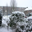  RenÃ© Vriezen 2009-12-20 #... - Presikhaaf Sneeuw rond om huis zondag 20 december 2009