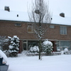  René Vriezen 2009-12-20 #0004 - Presikhaaf Sneeuw rond om h...
