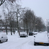  René Vriezen 2009-12-20 #0012 - Presikhaaf Sneeuw rond om h...